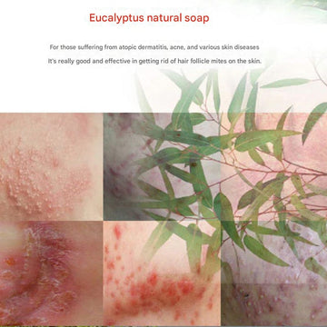 Nature's House Body Wash & Soap Nature's House Eucalyptus Soap 100g - From Austraila Nature's House Eucalyptus Soap 100g - From Austraila
