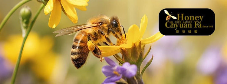 Chyuan Fa Honey | Nature’s Purest Sweet Gift