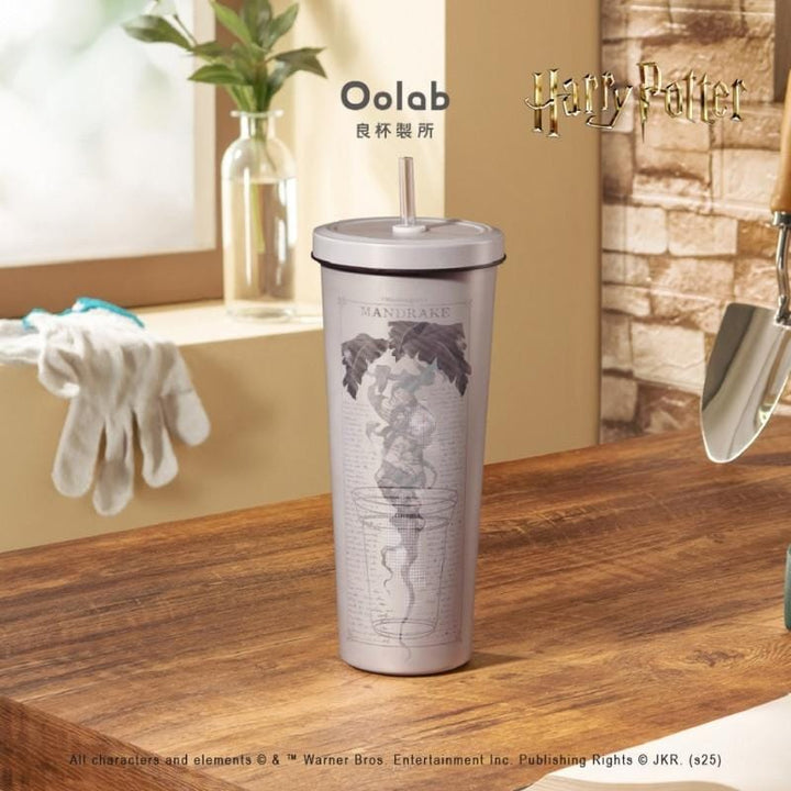 Oolab Harry Potter Collection Stainless Steel Straw Cup 850ml