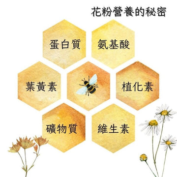 Chyuan Fa Honey & Maple Syrups Chyuan Fa Taiwan Bee Pollen 150g Chyuan Fa Taiwan Bee Pollen 150g