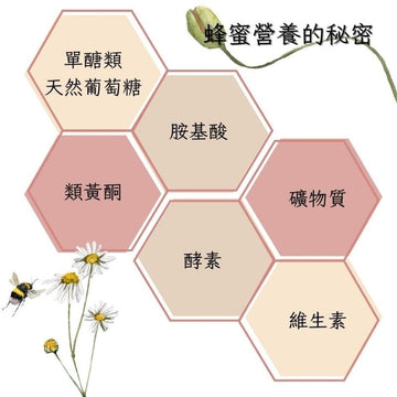 Chyuan Fa Honey & Maple Syrups Chyuan Fa Wildflower Honey Sachet (8 Sachets) Halal Certification Chyuan Fa Wildflower Honey Sachet (8 Sachets) Halal Certification