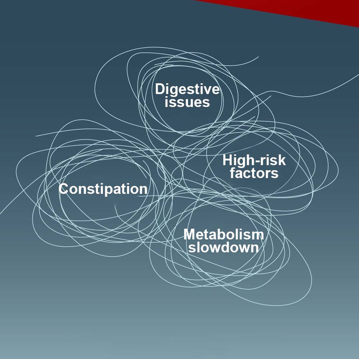 Cofit Vitamins, Minerals & Wellness Supplements Cofit Digestive Pack Improved Version  – Boost Glow, Aid Digestion Cofit Digestive Pack Improved Version  – Boost Glow, Aid Digestion