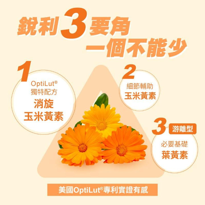 Cofit Eye Treatments Cofit Maqui Berry & Lutein Boost – Natural Eye Care & Glow Formula Cofit Maqui Berry & Lutein Boost – Natural Eye Care & Glow Formula