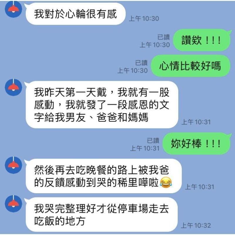 DCT Natural Crystal Decorations DCT Pallasite Meteorite｜A Gentle Protective Gift from the Cosmos DCT Pallasite Meteorite｜A Gentle Protective Gift from the Cosmos