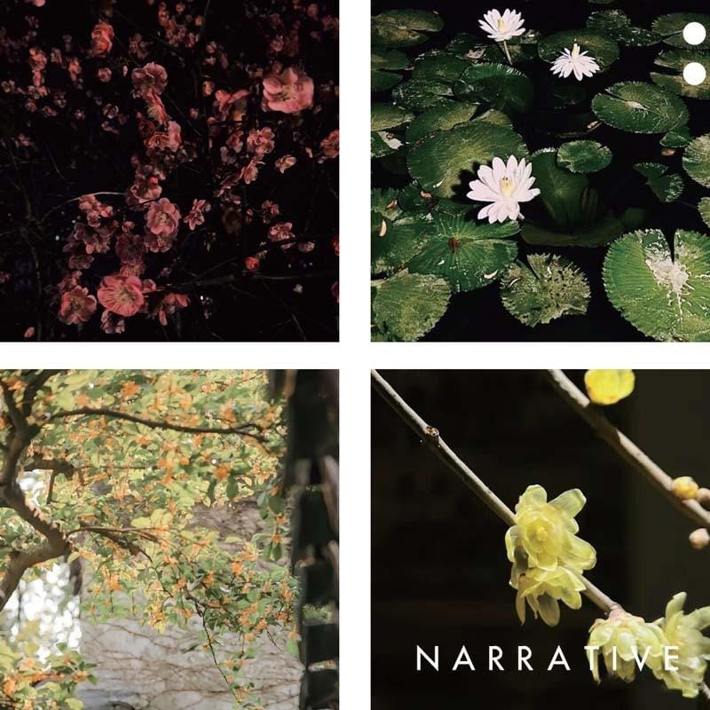 Narrative Unisex Fragrance NARRATIVE Pure 100% Essential Oil Fragrance Perfume · Four Seasons Series NARRATIVE Pure 100% Essential Oil Fragrance Perfume · Four Seasons Ser