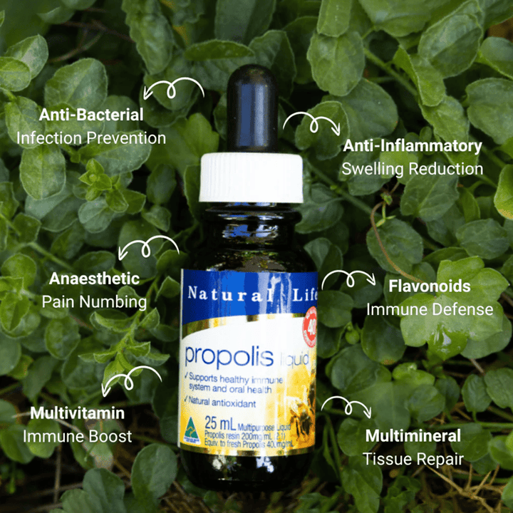 Natural Life Honey Natural Life Double Strength Propolis Liquid Natural Life Double Strength Propolis Liquid