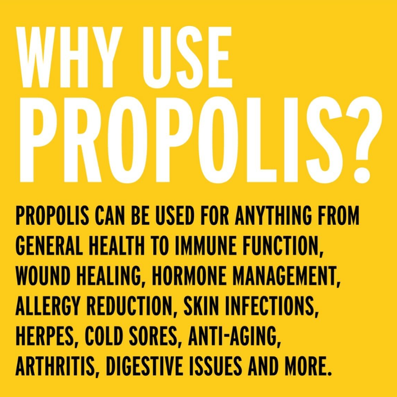 Natural Life Multivitamin & Minerals Natural Life Propolis 2000mg 365 Capsules Natural Life Propolis 2000mg 365 Capsules