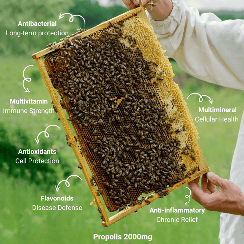 Natural Life Multivitamin & Minerals Natural Life Royal Jelly 1000mg Capsules Natural Life Royal Jelly 1000mg Capsules