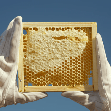 Natural Life Multivitamin & Minerals Natural Life Royal Jelly 1000mg Capsules Natural Life Royal Jelly 1000mg Capsules