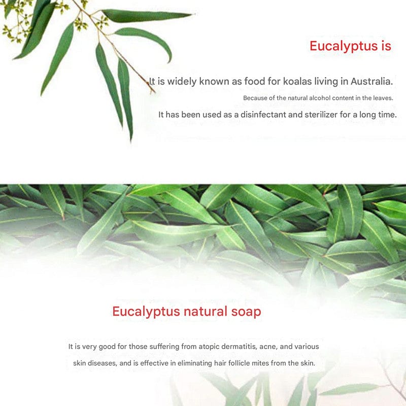 Nature's House Body Wash & Soap Nature's House Eucalyptus Soap 100g - From Austraila Nature's House Eucalyptus Soap 100g - From Austraila