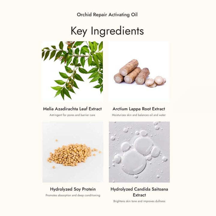 Nywow o Facial Oil Nywow o Orchid Repair Activating Oil 50ml Nywow o Orchid Repair Activating Oil 50ml