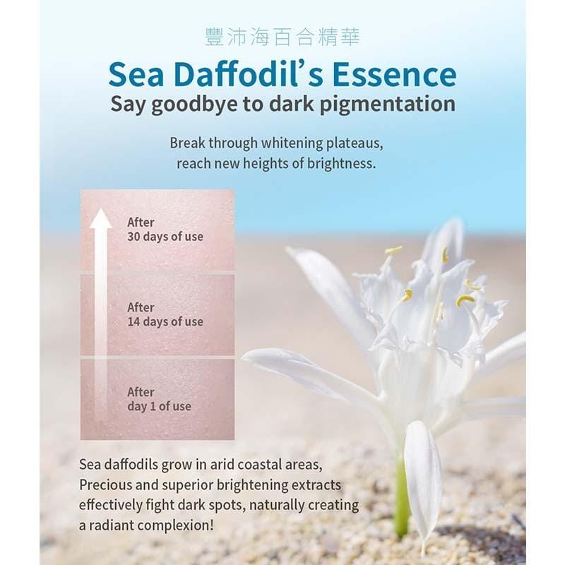 Vincent's World Serums & Essences Sea Daffodil Hydrating Toning Essence 150ml 海百合淨潤晶華露 Q02 Sea Daffodil Hydrating Toning Essence 150ml 海百合淨潤晶華露 Q02