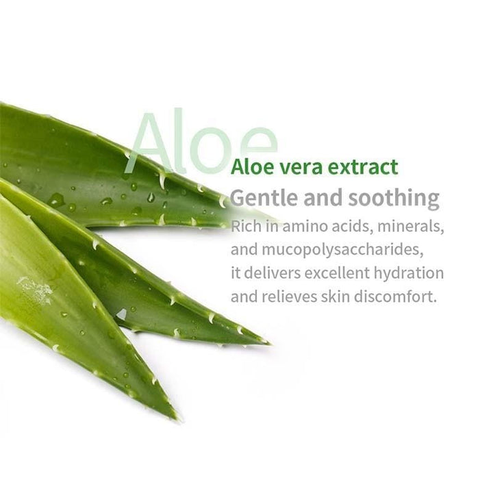 Vincent's World Body Wash Tea Tree Shampoo And Shower Gel 350ml Tea Tree Shampoo And Shower Gel 350ml