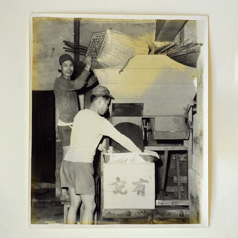 Wang Tea Tea & Tea Bags WANG TEA Enjoy-Me Taiwan Tea Oolong Tie Guan Yin 20 Tea Bags x 2g [Authorized Seller Ready Stock] WANG TEA SINGAPORE Taiwan Premium Tea 