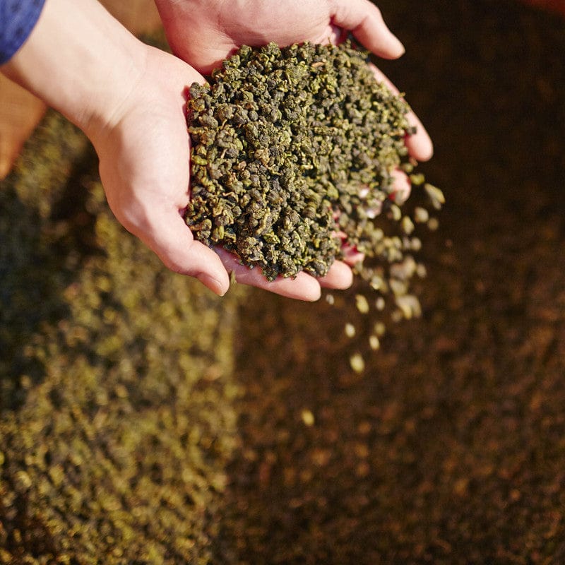 Wang Tea Tea & Tea Bags WANG TEA Enjoy-Me Taiwan Tea Oolong Tie Guan Yin 20 Tea Bags x 2g [Authorized Seller Ready Stock] WANG TEA SINGAPORE Taiwan Premium Tea 