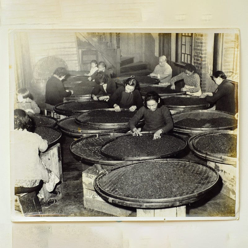 Wang Tea Tea & Tea Bags WANG TEA Enjoy-Me Taiwan Tea Oolong Tie Guan Yin 20 Tea Bags x 2g [Authorized Seller Ready Stock] WANG TEA SINGAPORE Taiwan Premium Tea 