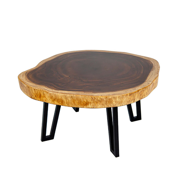 Coffee-Table-Raintree-cover